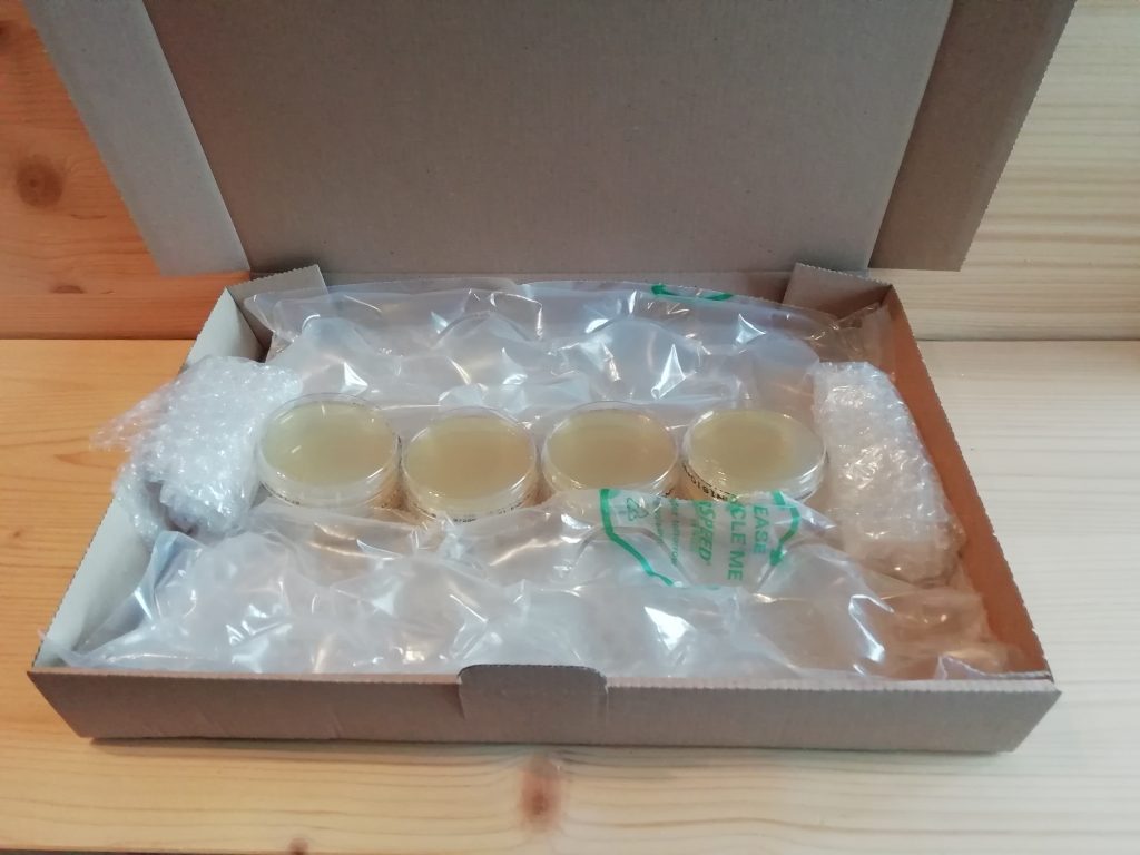 Keimzahlbestimmung nach VDI 6022 Bild